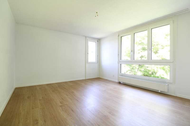 empty room, wooden floors, white walls, windows, heater under window
