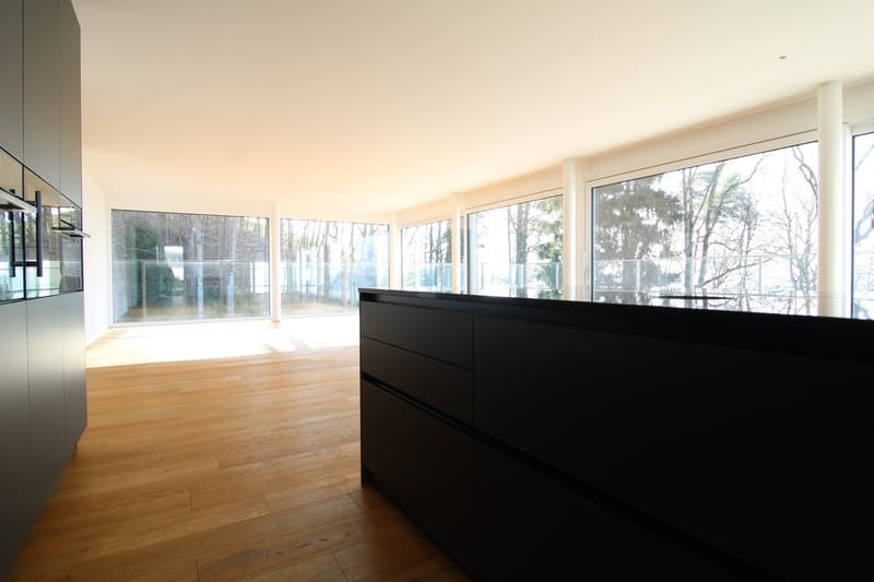modern kitchen with large windows, wooden floor, black cabinets, glass railings