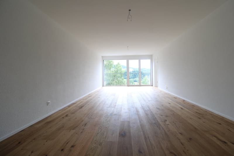 Appartement attrayant de 3,5 pièces avec une vue de rêve à St. Gallen (5)