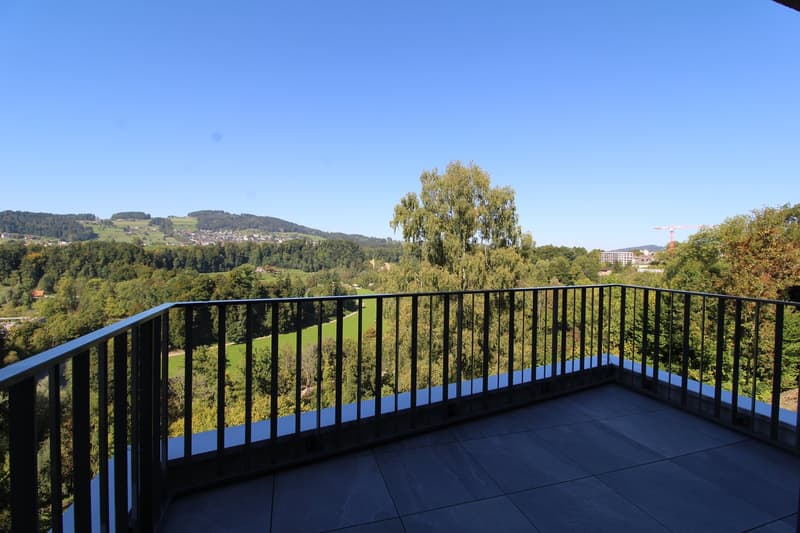 Moderne 2.5-Zimmer-Wohnung mit herrlichem Ausblick (7)