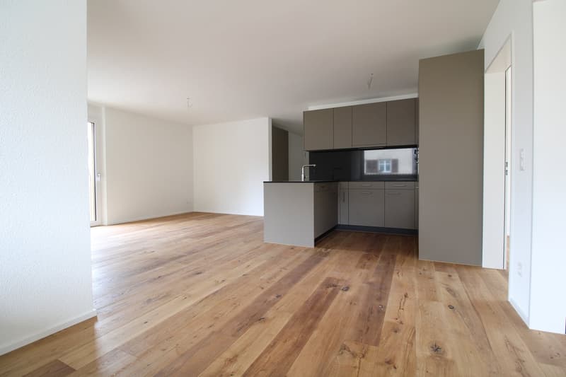 Appartamento moderno 4.5 locali con terrazza spaziosa a Kreuzlingen (3)
