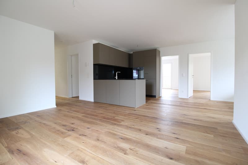 Appartamento moderno 4.5 locali con terrazza spaziosa a Kreuzlingen (2)