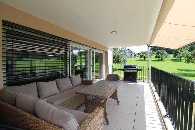 Charming and bright 3.5-room apartment (ground floor) (9)