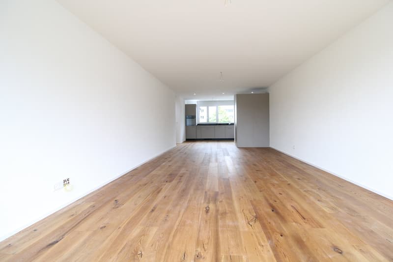 Attraktive 3.5-Zimmer-Wohnung mit traumhafter Aussicht in St. Gallen (3)