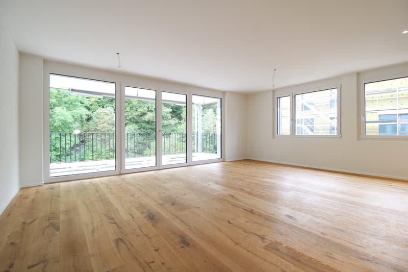 Tanneggerpark 3.5 Zimmer-Neubauwohnung (5)