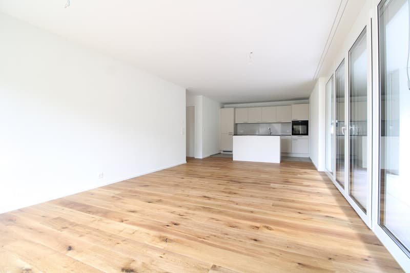 Tanneggerpark 4.5 Zimmer-Neubauwohnung (1)