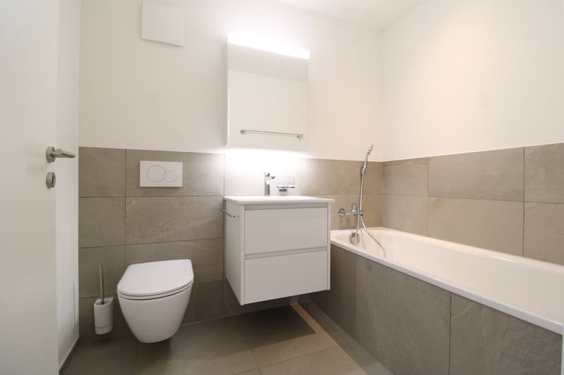 Tanneggerpark 4.5 Zimmer-Neubauwohnung (9)