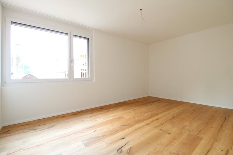 Tanneggerpark 4.5 Zimmer-Neubauwohnung (6)