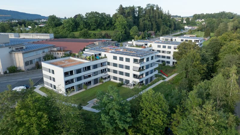 Gemütliche 4.5 Zimmer-Wohnung mit 100 m2 Terrasse (1)