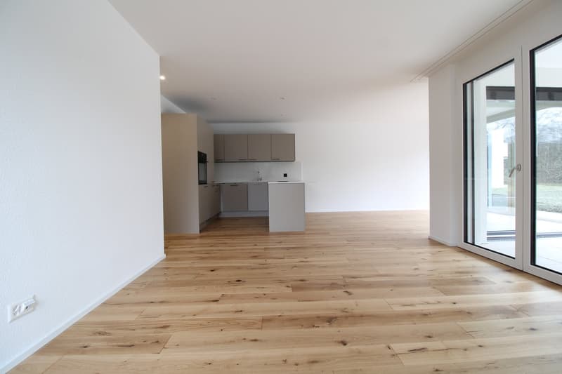 Gemütliche 4.5 Zimmer-Wohnung mit 100 m2 Terrasse (4)