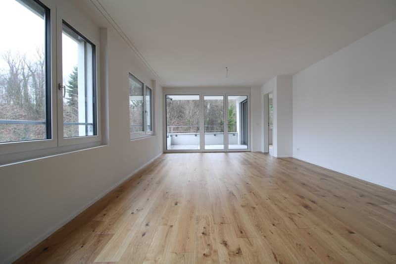 Gemütliche und grosszügige 4.5 Zimmer-Wohnung (4)