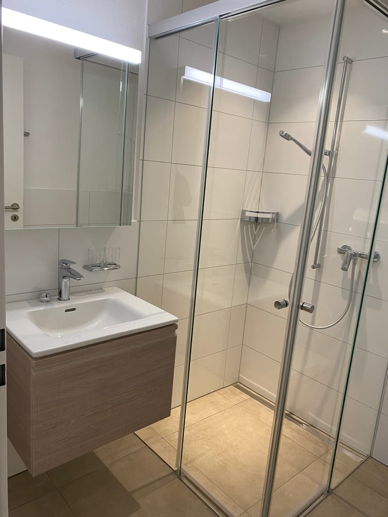 Charmante und helle 4.5 Zimmer-Maisonette-Wohnung (9)