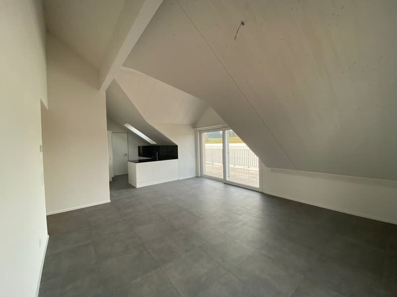 Charmante und helle 4.5 Zimmer-Maisonette-Wohnung (1)