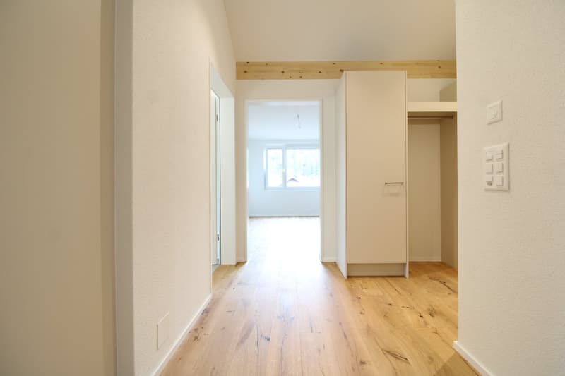 Tanneggerpark 3.5 Zimmer-Neubauwohnung (2)