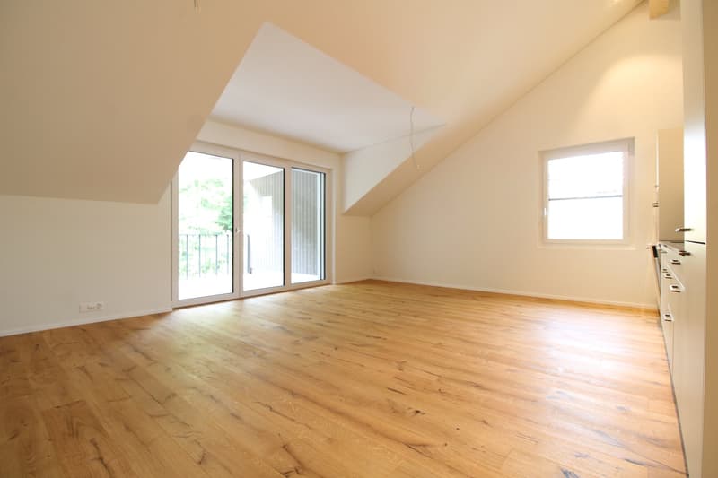 Tanneggerpark 3.5 Zimmer-Neubauwohnung (1)