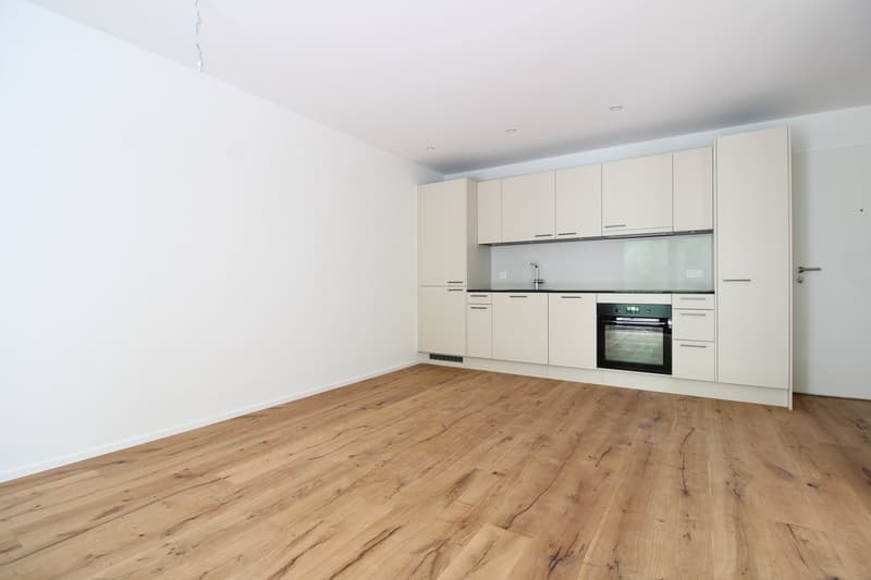 2.5 Zimmer-Attikawohnung mit gorsser Terrasse - Neubau (2)