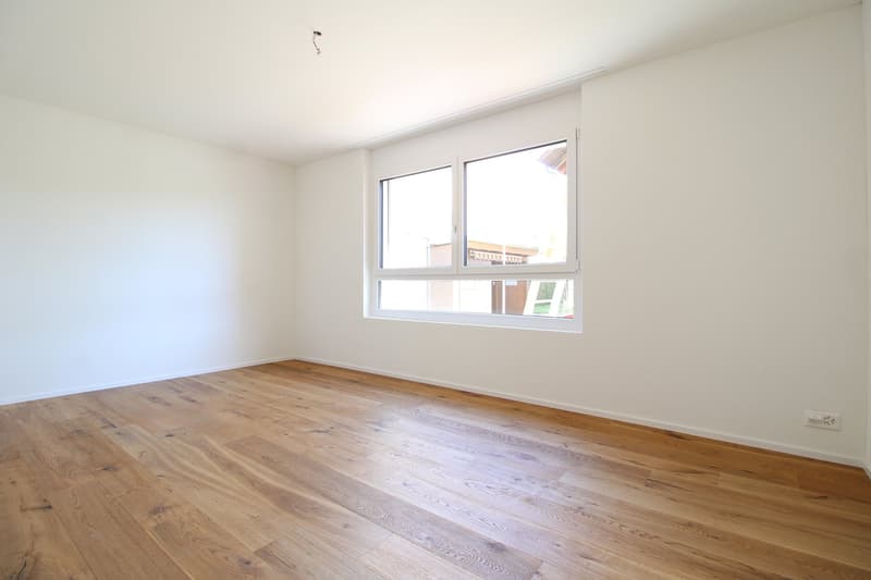 Charmante 4.5 Zimmer-Neubauwohnung (1)