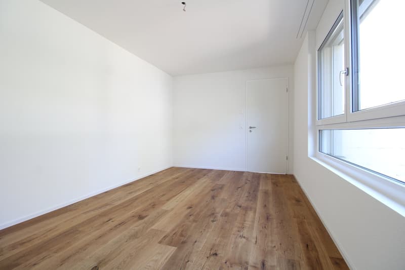 Charmante 4.5 Zimmer-Neubauwohnung (2)