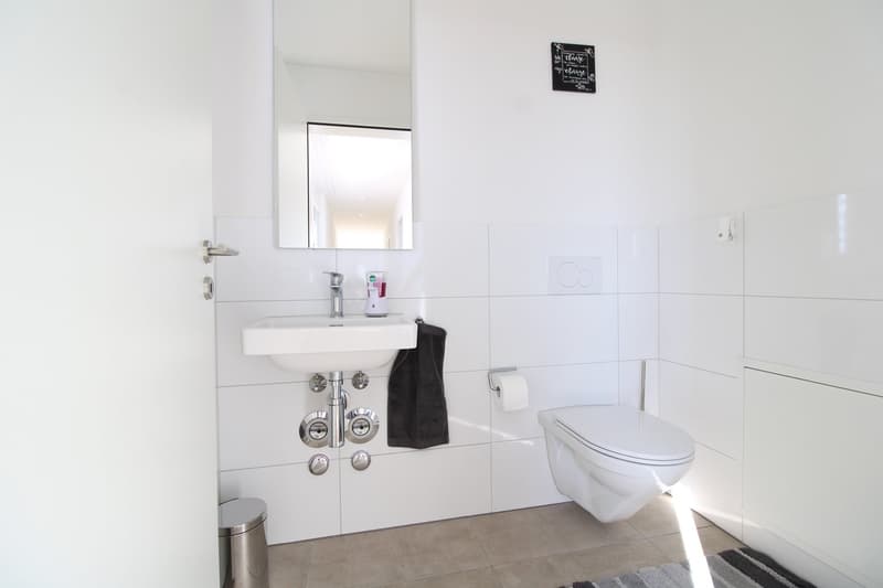 Wunderschöne 3.5 Zimmer Attikawohnung (7)