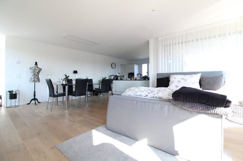Wunderschöne 3.5 Zimmer Attikawohnung (5)