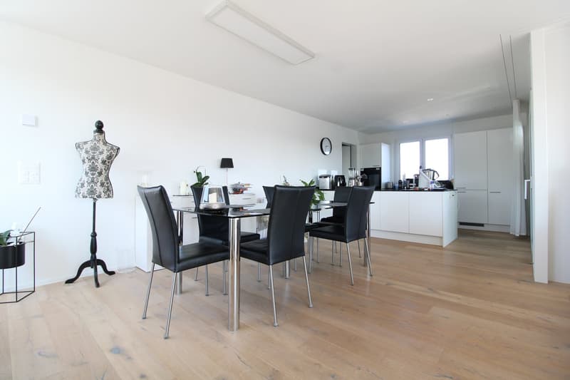 Wunderschöne 3.5 Zimmer Attikawohnung (2)