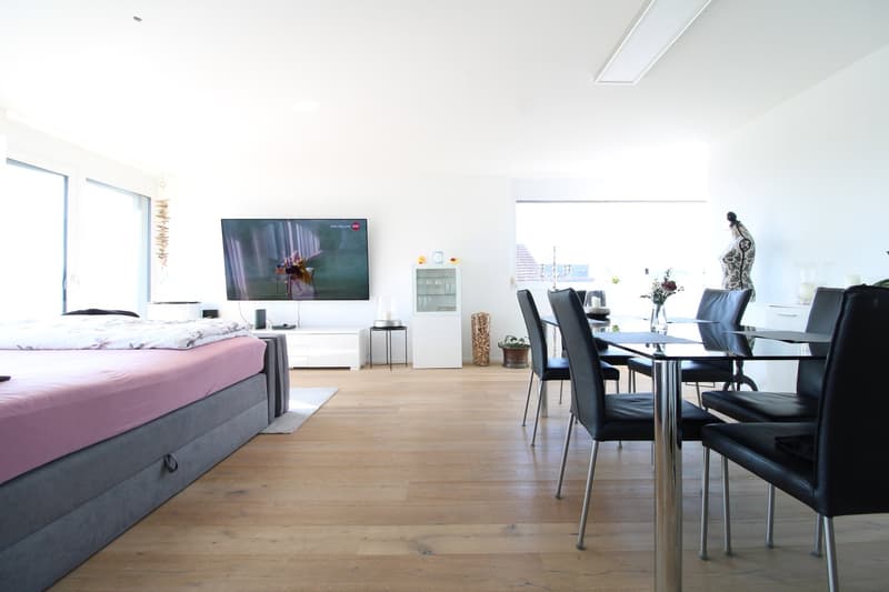Wunderschöne 3.5 Zimmer Attikawohnung (1)