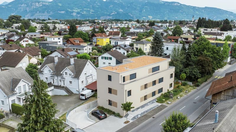 Wunderschöne 3.5 Zimmer Attikawohnung (14)
