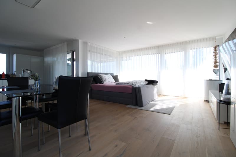 Wunderschöne 3.5 Zimmer Attikawohnung (4)