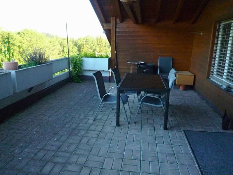 2.5 Zi.-Dachwohnung mit grosser Terrasse (6)