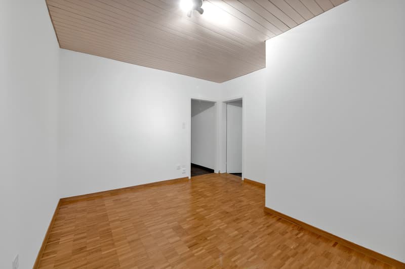 Schöne 1.0-Zi.-Wohnung im Osten der Stadt St. Gallen (7)