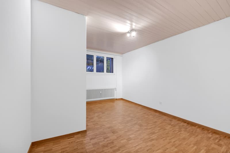 Schöne 1.0-Zi.-Wohnung im Osten der Stadt St. Gallen (6)
