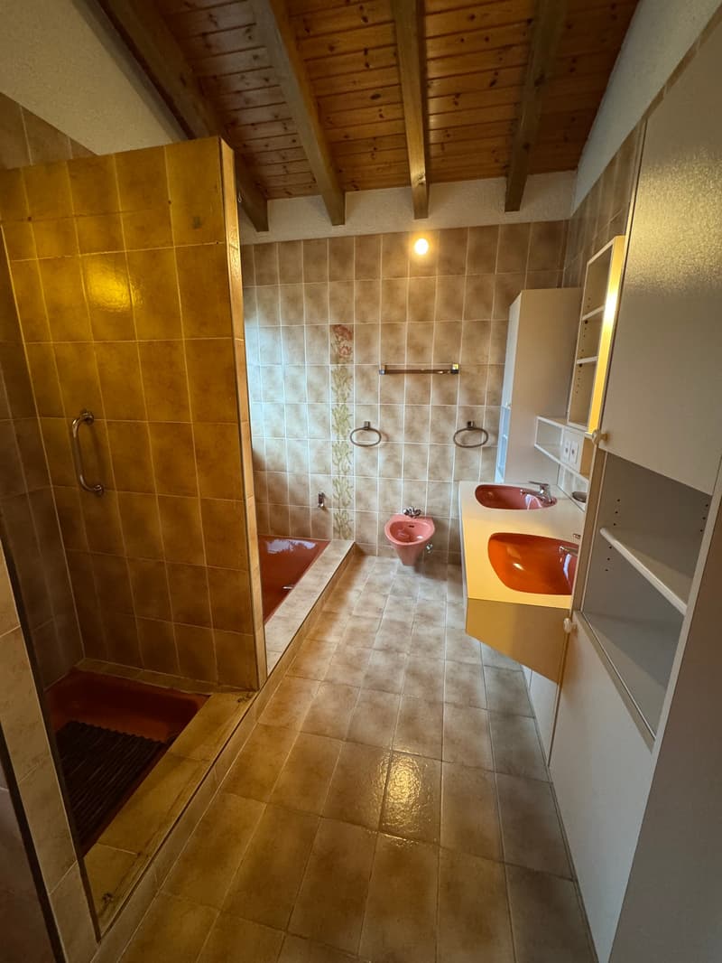 Bellissima Casa a Chamoson (31)