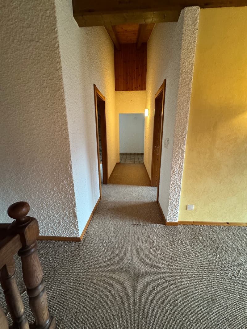 Bellissima Casa a Chamoson (36)
