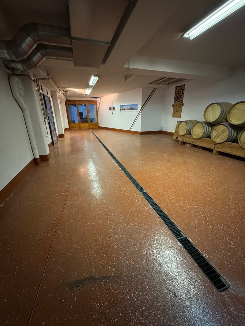 Bellissima Casa a Chamoson (25)