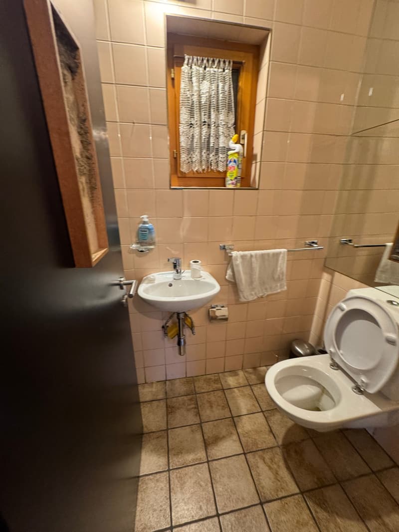 Bellissima Casa a Chamoson (23)