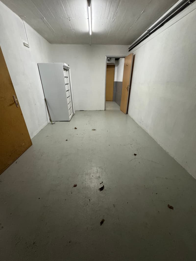 Bellissima Casa a Chamoson (19)