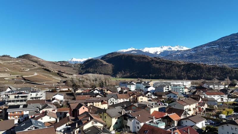 Town view with houses and mountain range in the background.