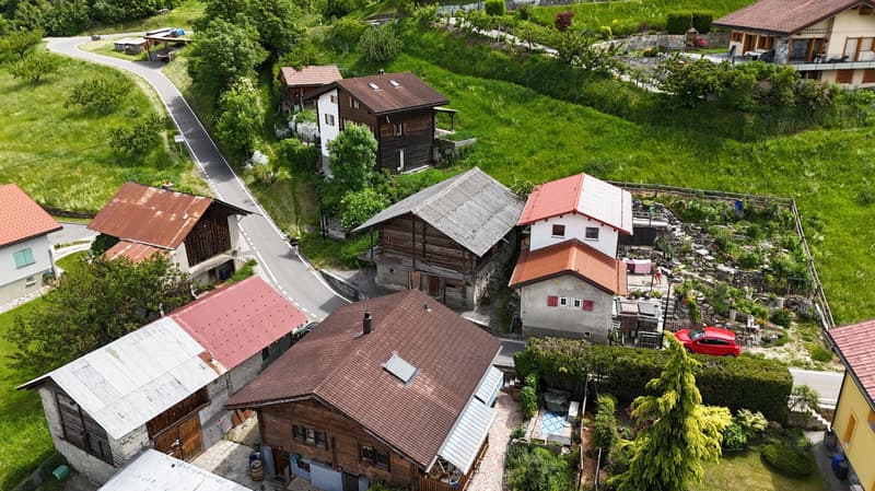Aerial view of a picturesque village nestled in a lush, green landscape. The village features a mix of traditional wooden and stone buildings with red tile roofs, surrounded by well-maintained gardens and greenery. A winding road runs through the village,