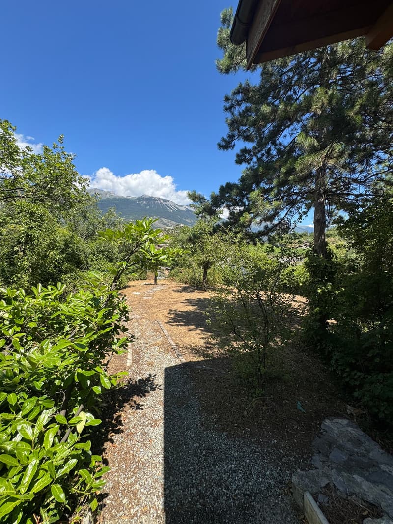 Pathway in garden with gravel, green plants, shrubs, and trees. View of mountains and blue sky.