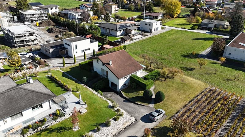 Aerial view of a suburban area with multiple houses, each with different architectural styles, surrounded by a lush green field and mature trees. There are also noticeable solar panels on some of the house rooftops.