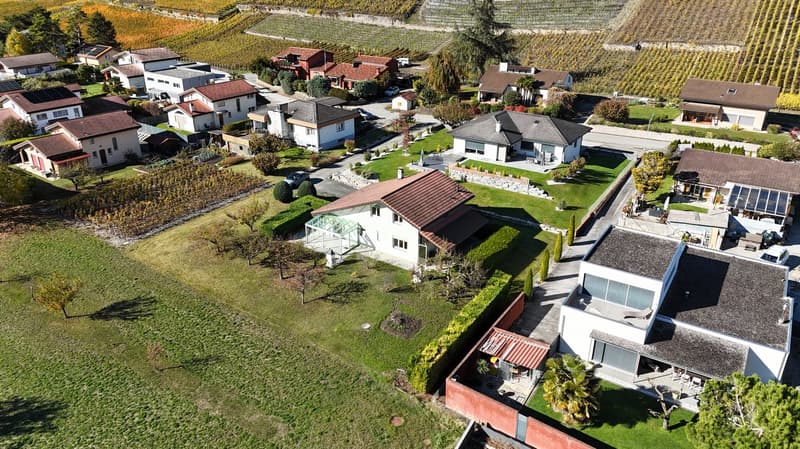 Multiple residential houses with garages, surrounded by vineyards, green fields, and parking spaces, with a swimming pool visible