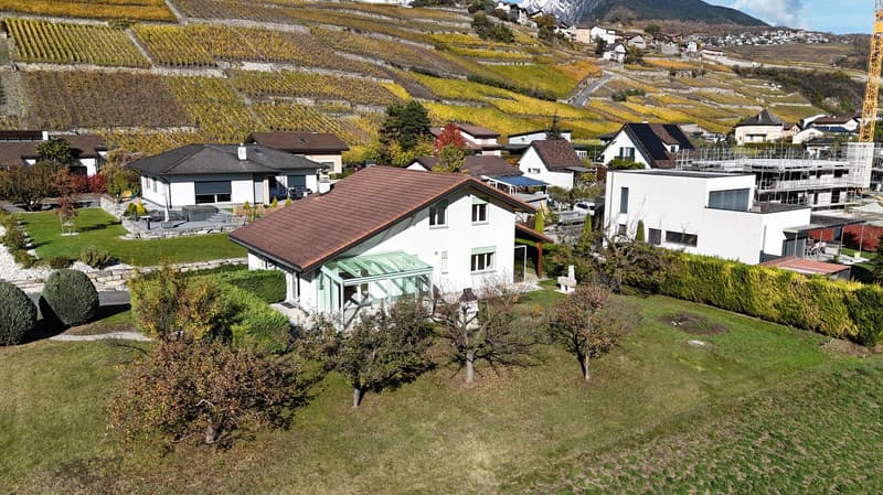 Residential area with vineyard, single family houses, brown and white houses, green trees and bushes, distant mountains, crane in construction