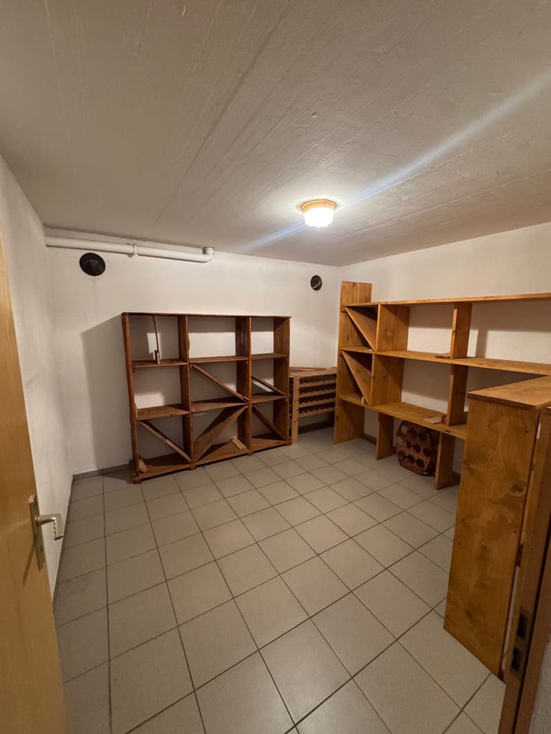 Magnificent individual villa with panoramic views of the mountains in Conthey (30)
