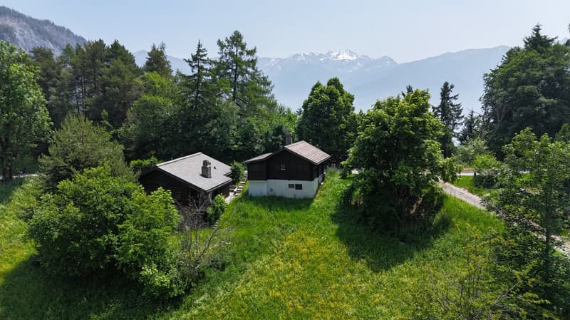 Two-story wooden cabin surrounded by lush green trees and vegetation, with a view of snow-capped mountains in the background.