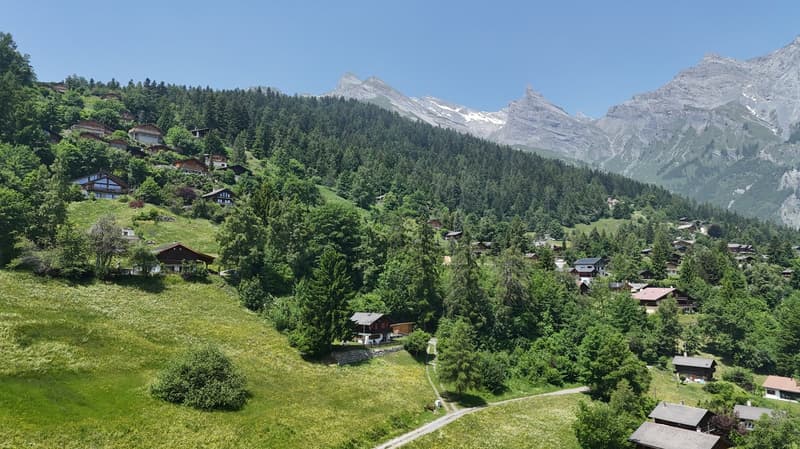 Scenic mountain village nestled in a lush, green valley surrounded by towering snow-capped peaks. The village features traditional Swiss-style chalets and homes scattered across the hillside, with a winding path leading through the landscape. The scene of