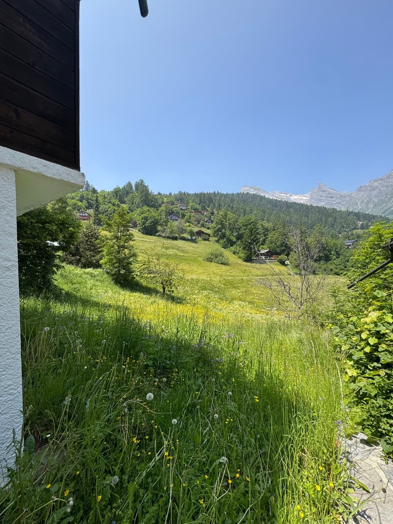The image shows a scenic mountain landscape with a lush green meadow in the foreground. The meadow is filled with tall grass and wildflowers, and there are several wooden buildings or chalets visible in the distance, nestled among the pine trees. The sky
