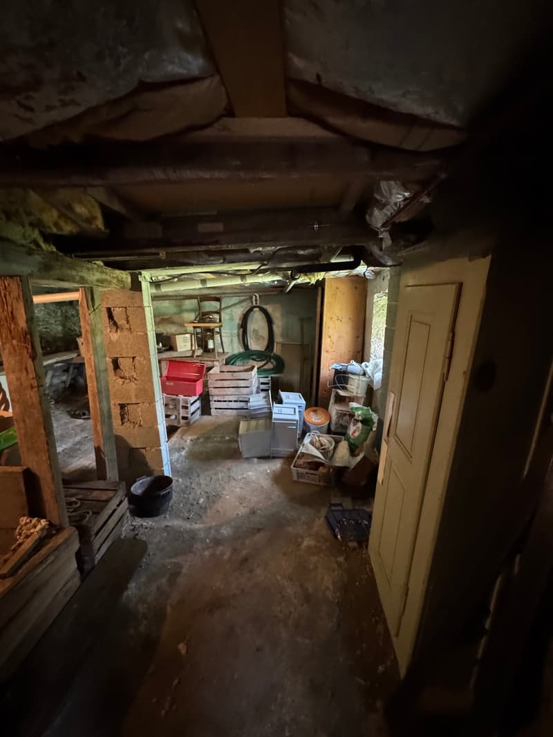 The image shows a cluttered and dimly lit storage room or basement. The room contains various items such as boxes, crates, and other miscellaneous objects stored on shelves and the floor. The walls and ceiling appear to be made of wood, and the overall en