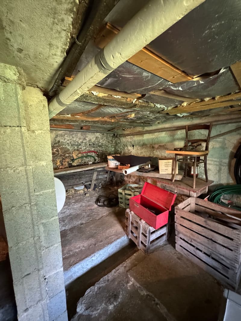 Charming chalet in the Mayens de Chamoson with panoramic views of the Alps (21)