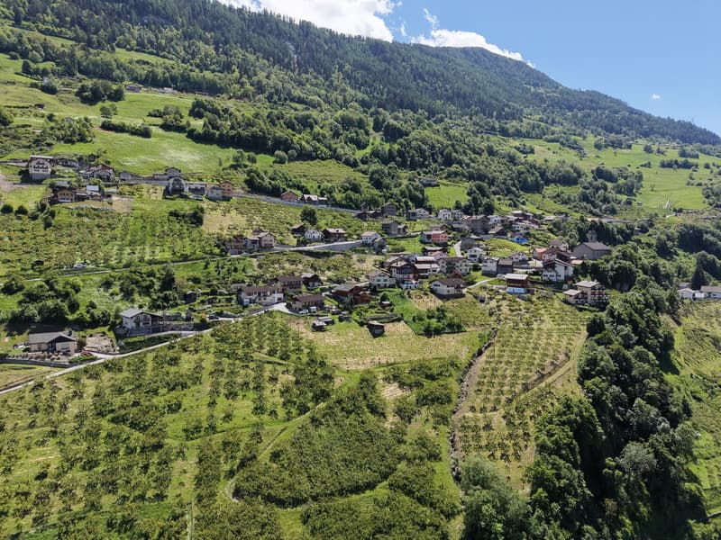 Terreno edificabile con vista panoramica eccezionale a Nendaz (3)