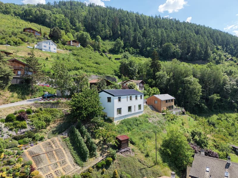 Magnificent modern 6.5-room villa in Nendaz – Breathtaking view of the mountains (2)